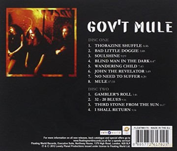Gov't Mule: The Best Of The Capricorn Years [2CD]