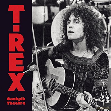 Trex: The Cockpit Theatre [Winyl]