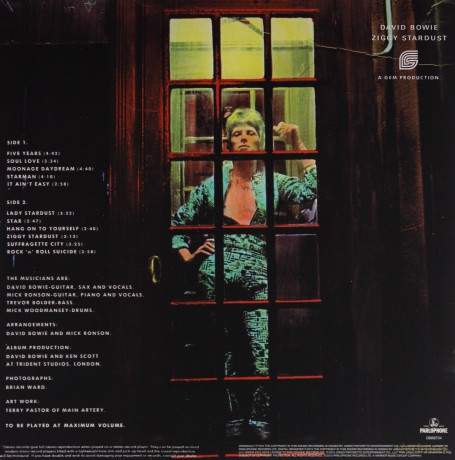 David Bowie: The Rise And Fall Of Ziggy Stardust And The Spiders From Mars [Winyl]
