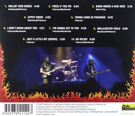 Blue Cheer: What Doesn't Kill You [CD]