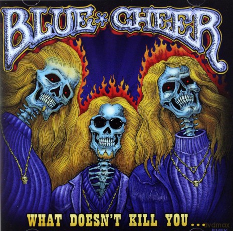 Blue Cheer: What Doesn't Kill You [CD]