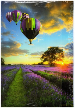 Album fotograficzny SR-46200 Balony nad łąką