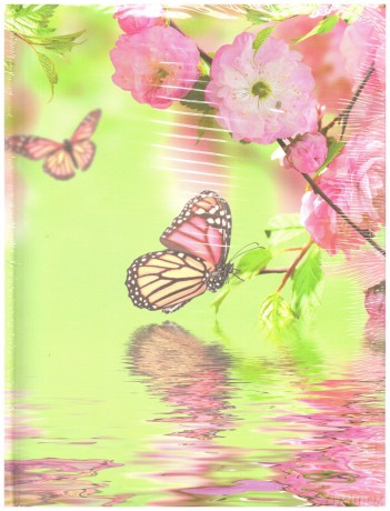 Album fotograficzny SR-46200 Motyl