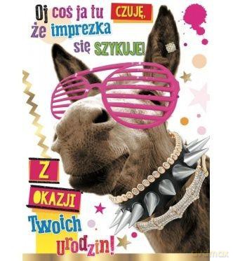 Karnet urodzinowy 3DV-050 osiołek