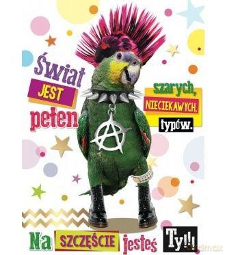 Karnet z życzeniami 3DV-051 Papuga