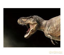 Magnes 3D Dinozaur