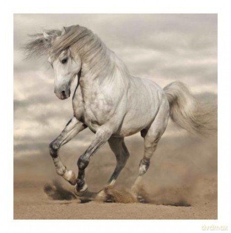 Magnes 3D MCG41 Horse