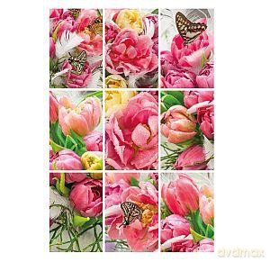 Naklejki Decor tulipany