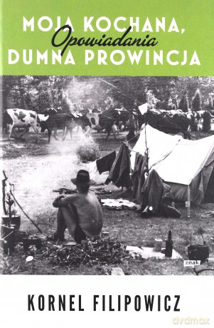 Moja kochana dumna prowincja - Kornel Filipowicz [KSIĄŻKA]