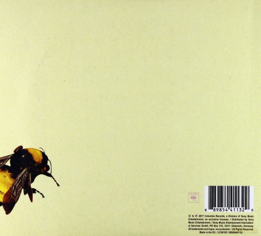 Tyler, The Creator: Flower Boy [CD]