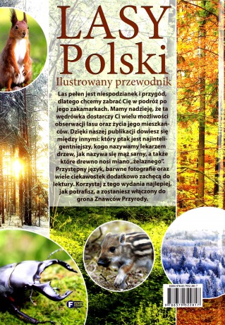 Lasy Polski. Ilustrowany przewodnik [KSIĄŻKA]