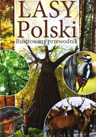 Lasy Polski. Ilustrowany przewodnik [KSIĄŻKA]