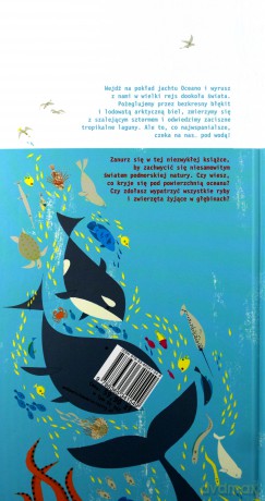 W głębinach oceanu - Anouck Boisrobert [KSIĄŻKA]