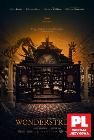 Wonderstruck [DVD]