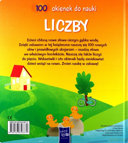 100 okienek do nauki. Liczby [KSIĄŻKA]