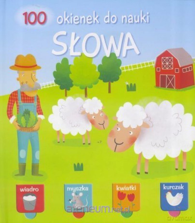 100 okienek do nauki. Słowa [KSIĄŻKA]