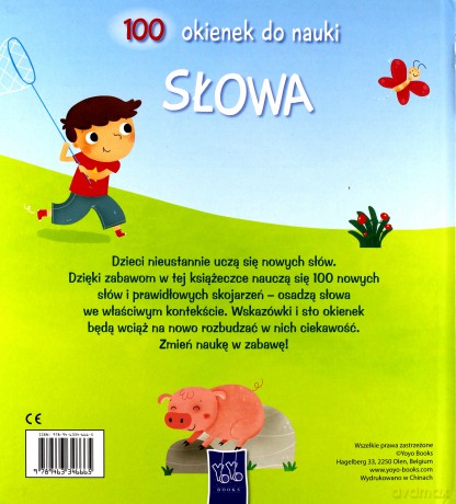 100 okienek do nauki. Słowa [KSIĄŻKA]