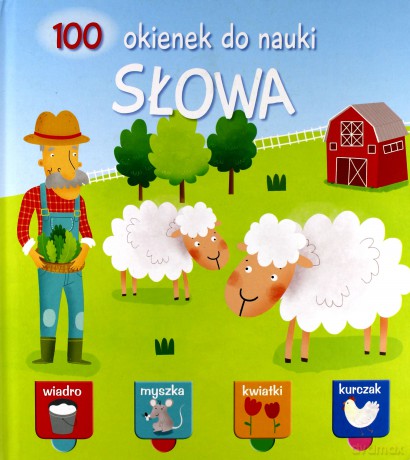100 okienek do nauki. Słowa [KSIĄŻKA]