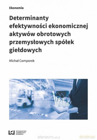 Determinanty efektywności ekonomicznej aktywów obrotowych przemysłowych spółek giełdowych [KSIĄŻKA]