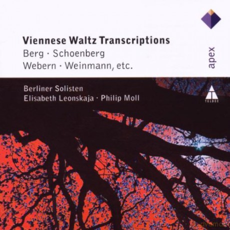 Leonskajy/Moll/Berliner Solist: Strauss:Wiener Walzer Transkripti [CD]
