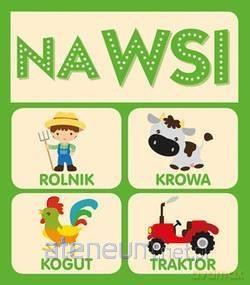 Na wsi [KSIĄŻKA]