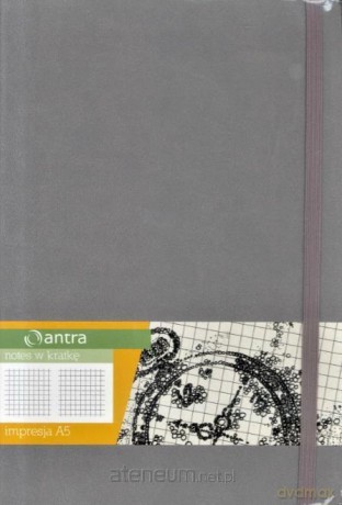 Notes A5 Kratka Impresja Szary