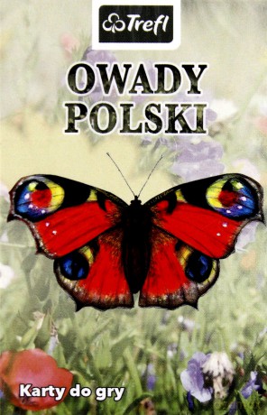Owady [KARTY]