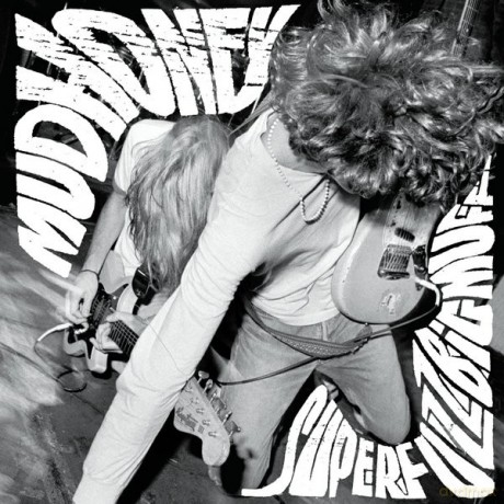 Mudhoney: Superfuzz Bigmuff [Winyl]