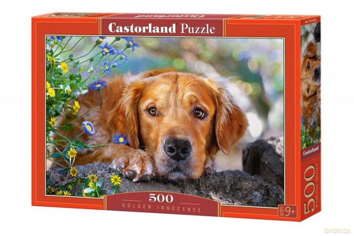 CASTOR 500 el. Pies [PUZZLE]
