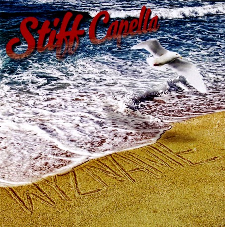 Stiff Capella: Wyznanie [CD]
