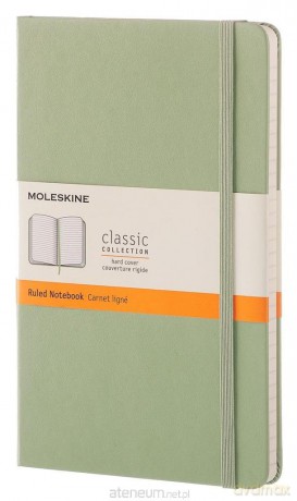 Notes Classic 13x21 linia- pistacjowy