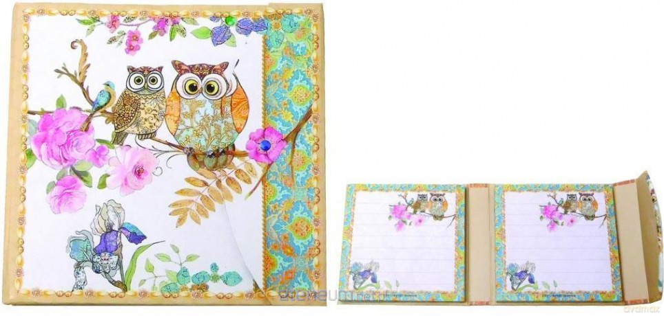 Notes na magnes Owl