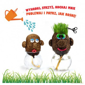 Pan Trawiastogłowy [KSIĄŻKA]