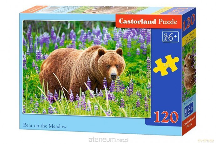 CASTOR 120 el. Bear on the Meadow [PUZZLE]