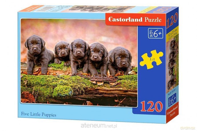 CASTOR 120 el. Five Little Puppies [PUZZLE]