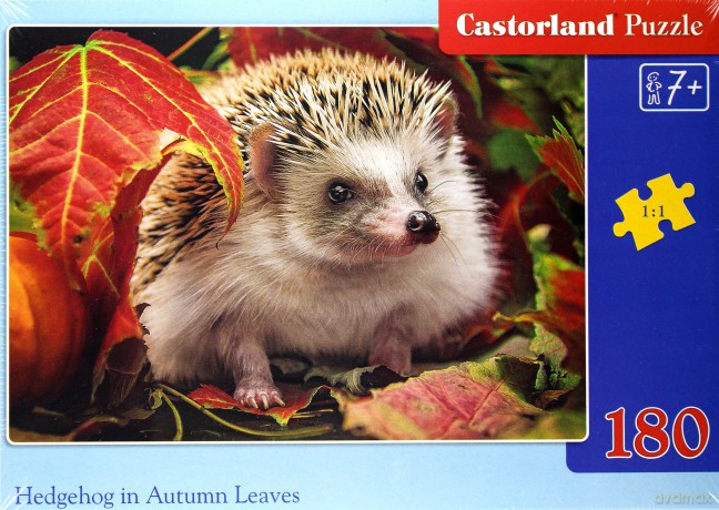 CASTOR 180 el. Hedgehog in Autumn Leaves [PUZZLE]