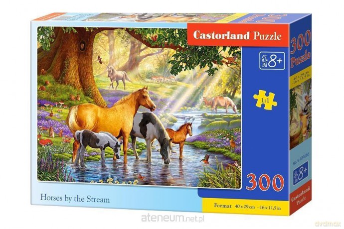 CASTOR 300 el. Horses by the Stream [PUZZLE]