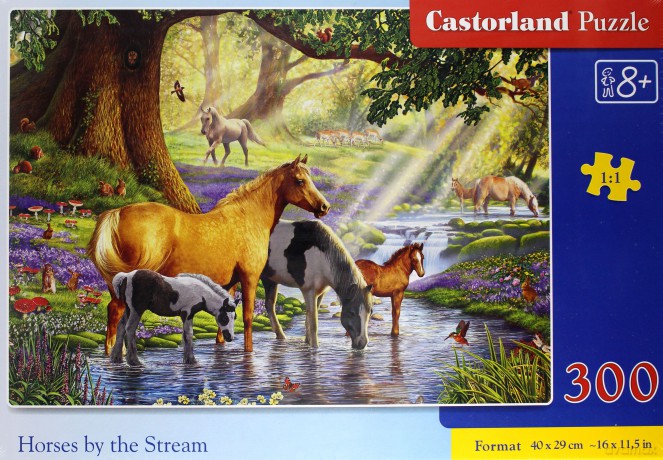 CASTOR 300 el. Horses by the Stream [PUZZLE]