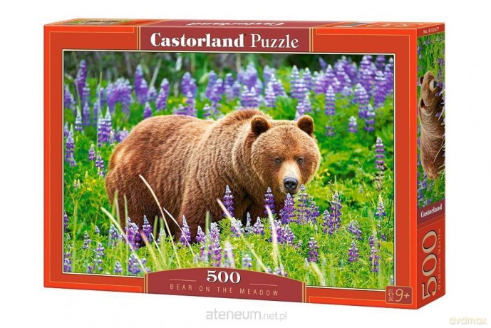 CASTOR 500 el. Bear on the Meadow [PUZZLE]
