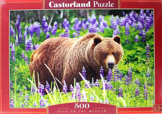 CASTOR 500 el. Bear on the Meadow [PUZZLE]