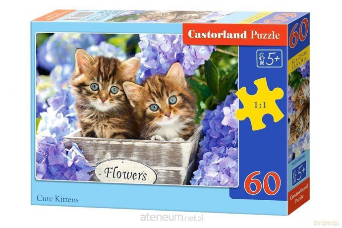 CASTORLAND 60 el. Cute Kittens [PUZZLE]