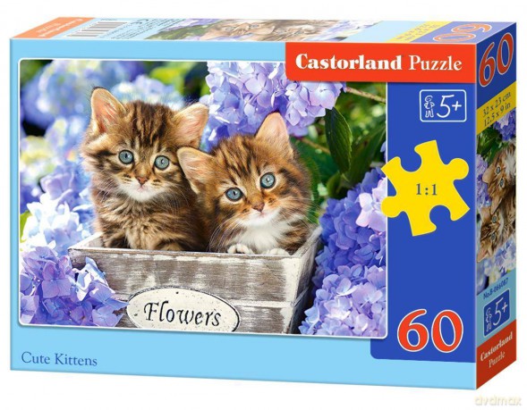 CASTORLAND 60 el. Cute Kittens [PUZZLE]