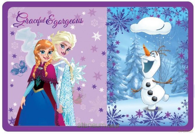 Piórnik 1 suwak 2 klapkowy z wyposażeniem Frozen