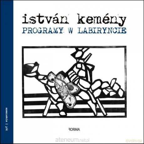 Programy w labiryncie - Istvan Kemeny [KSIĄŻKA]