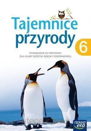Przyroda Szkoła podstawowa 6 Tajemnice przyrody Podręcznik [KSIĄŻKA]