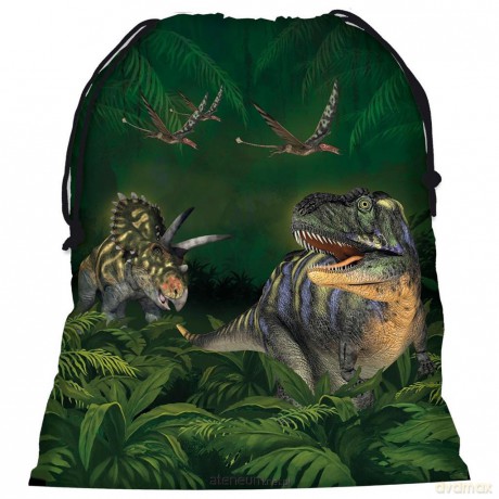 Worek na obuwie Dinozaur 11