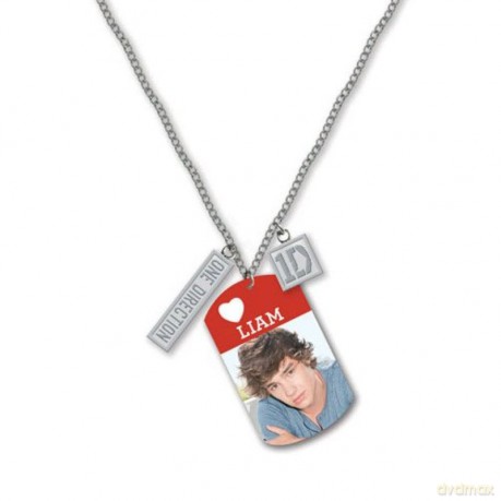 One Direction 1D 16 Tag Necklace - Liam - Phase 2