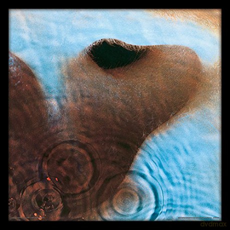 Pink Floyd Meddie