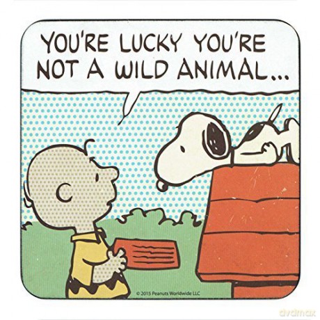 Snoopy Wild Animal