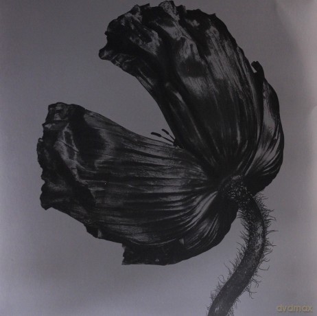 Pet Shop Boys: Release [Winyl]